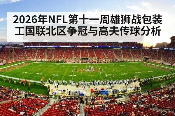 american football stadium night crowd